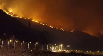 Sürmene'deki Orman Yangını Kontrol Altına Alındı