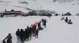 Beypazarı'nda Geleneksel Kızak Şenliği