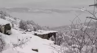 Elektrik, Telefon, Su Var Ama Yaşayan Yok'