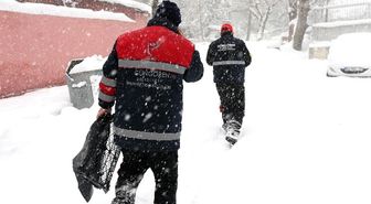 Güngören Belediyesi Sokak Hayvanlarına Sahip Çıktı