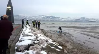 Kediyi Kurtarırken, Mahsur Kaldı