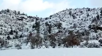 Eski Belediye Başkanı Ölü Bulundu