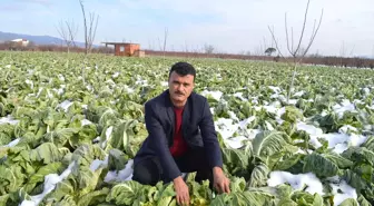 Manisa'daki Kar Yağışı