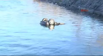 Kaldırımdaki Kadını Ezip Dereye Uçtu; 1 Ölü, 1 Yaralı