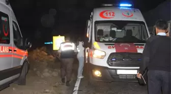 Aydın'da Trafik Kazaları: 7 Yaralı