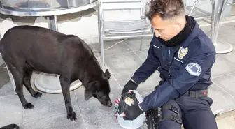 Şehit Polisin Emanetine Arkadaşları Sahip Çıktı