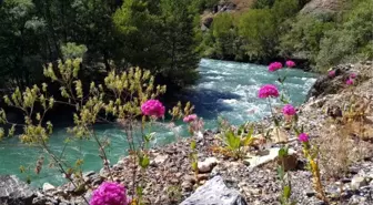 Tunceli Barosu'ndan Munzur Vadisi'nde Acele Kamulaştırmaya Tepki