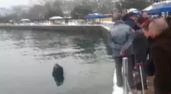 Zonguldak 5 Günde Iki Kişiyi Denizde Boğulmaktan Kurtardı