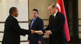 Cumhurbaşkanı Erdoğan Namibya Cumhuriyeti Büyükelçisini Kabul Etti