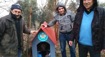 Yavru Köpeklere Kulübe Desteği