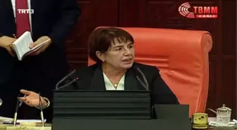 Aylin Nazlıaka, Kendini Meclis Kürsüsünde Mikrofona Kelepçeledi