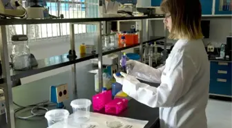 Geleceğin Potansiyel Virüs Salgınları Açıklandı