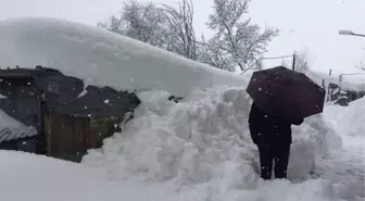 İtalya'daki Deprem ve Çığ Felaketi