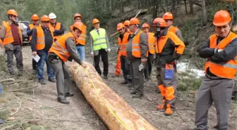 Yenice Orman İşletme Müdürlüğünden Tatbikat