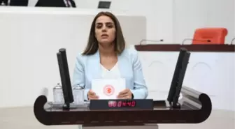 Hdp Batman Milletvekili Başaran Serbest Bırakıldı