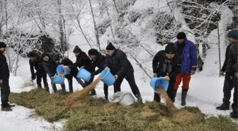 Doğaya Yem Bıraktılar