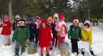 Seydişehir'de Yaban Hayvanları İçin Doğaya Yem Bırakıldı