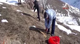 Hakkari'deki Yaban Hayvanları Için Doğaya Yem Bırakıldı