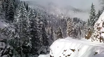 Karadeniz'in Doğal Güzellikleri Fotoğraf Tutkunlarını Büyülüyor