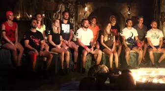 Survivor 2017'nin En Çok Aranan İsmi İlhan Mansız Oldu