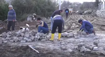 Asırlık Zeytin Ağacı Koruma Altına Alındı