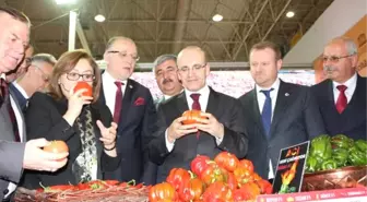 Mehmet Şimşek: Cumhurbaşkanlığı Sistemi, Rejim Değişikliği Değildir