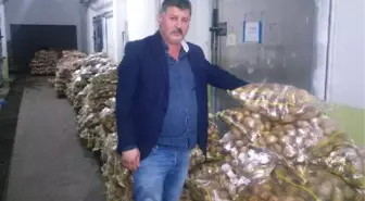 Akşehir'den, Irak'a Patates İhracatı