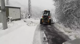 Ağrı'da Araçlar Çığda Mahsur Kaldı