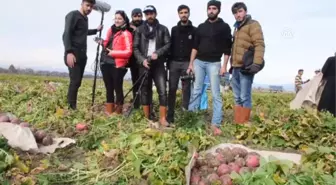 Üniversiteli Öğrencilerinden 'Turp' Belgeseli - Osmaniye