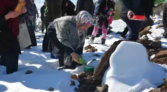 Kilis Belediyesinden Doğa Hayvanlarına Gıda Takviyesi