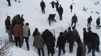 Muradiye'de Çığ Altında Kalanlara Ulaşıldı