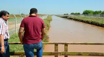 Dicle Elektrik İsrafı Fotoğrafladı