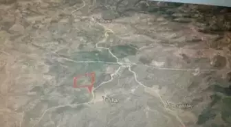 Maden Şirketine 'Zeytin Alanı' Engeli