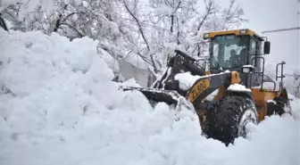 Bitlis'te Ulaşıma Kar Engeli