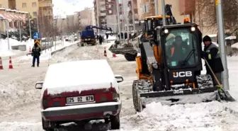 Doğu'da Kar Çilesi (2)