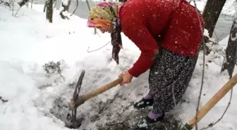 Geleneksel Yöntemle Gıdalar Hep Taze! Yazın Toprak Altına Saklıyorlar, Kışın Çıkarıyorlar