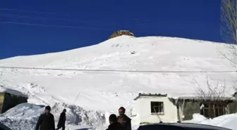 Ahırın Üzerine Çığ Düşmesi Sonucu 3 Hayvan Telef Oldu