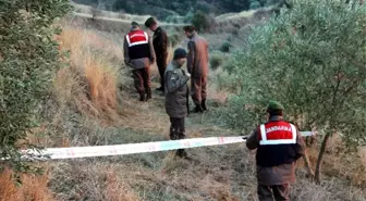 Aydın'da Bir Bölümü Toprağa Gömülü Ceset Bulunması