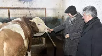 Vali Memiş'ten Ahır İncelemeleri