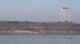 Yalova'daki 'kuş Oteli' Misafirlerini Yeniden Ağırlıyor