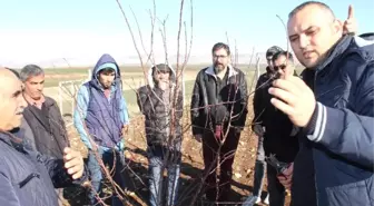 Adıyaman'da Meyve Ağaçlarında Budama Kursu Veriliyor