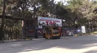 Asya, Afrika, Avrupa' Yeni Yuvalarında - Antalya