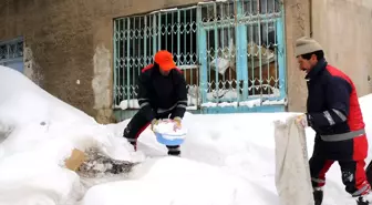 Bitlis'te Kar Temizleme Çalışmaları