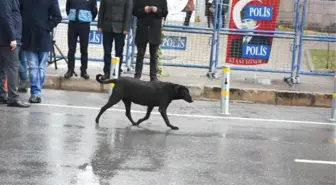 Adliye Şehitleri Fethi Sekin ve Musa Can İçin Kılıçdaroğlu'nun Katılımıyla Çifte Tören