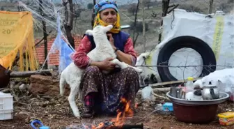 Ayvacık Açıklarında 5.5'lik Deprem; 4 Kişi Yaralandı, Evler Hasar Gördü -yeniden