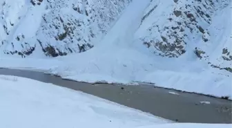 Hakkari'de 15 Çığ Temizlendi