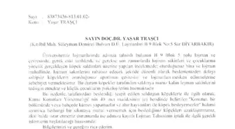 Öğretim Üyesine Yeniden, 'Sahipsiz Köpekleri Besleme' Uyarısı