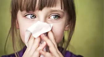 Aktif Bir Salgın Beklentimiz Yok'