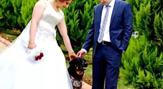 Düğününde Bile Yanından Ayırmadığı Köpeği Kayboldu