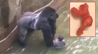 'Harambe'ye Benzeyen Cips 100 Bin Dolara Satıldı